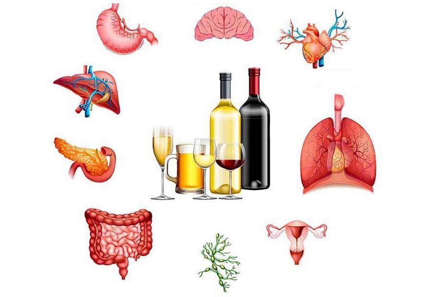 efectul alcoolului asupra organismului